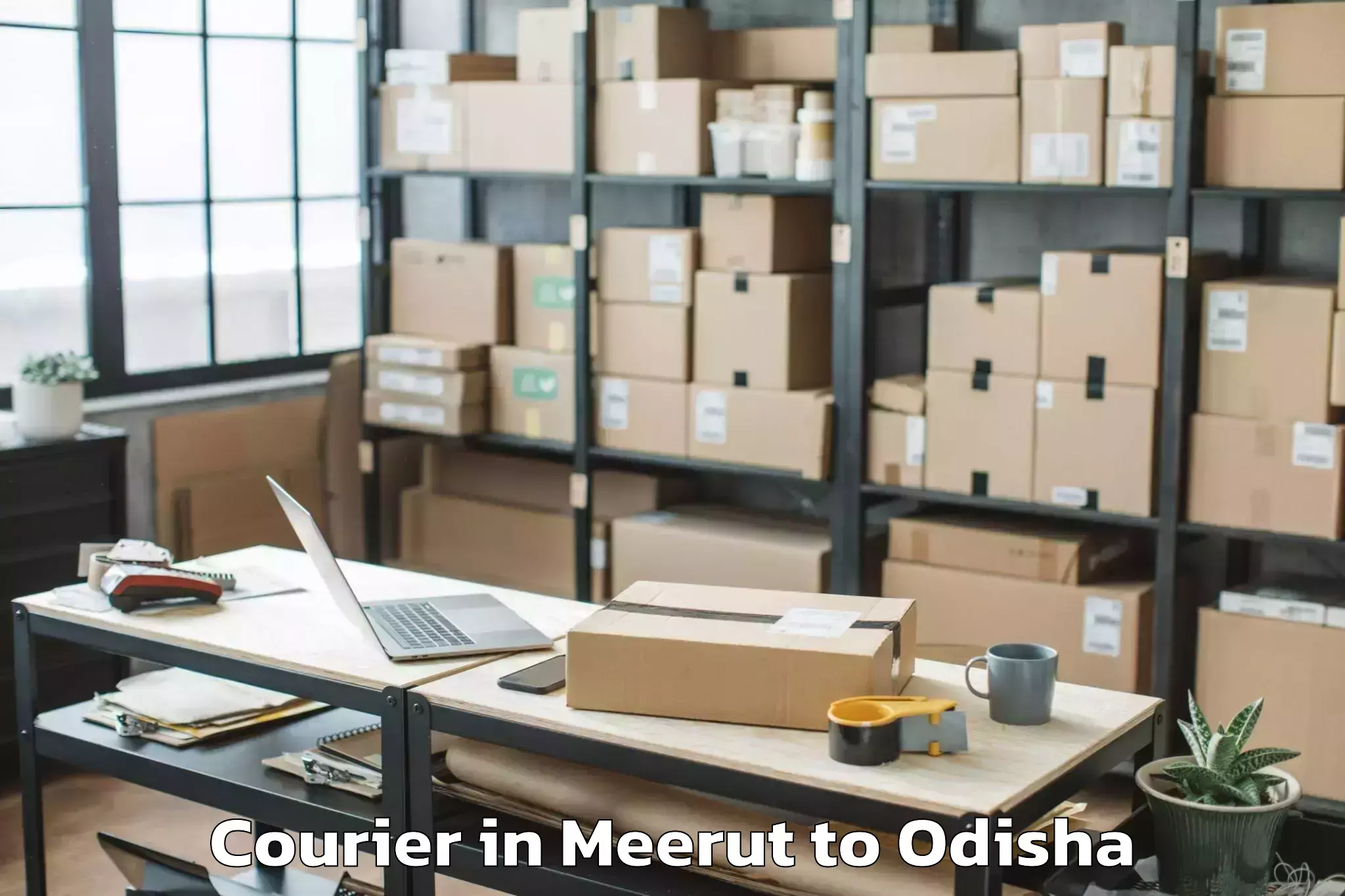 Easy Meerut to Begunia Courier Booking